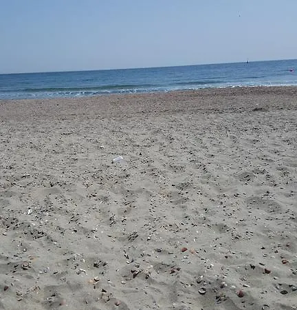 Casin Summer *